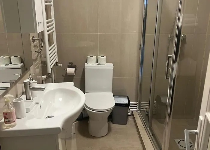 بيت للعطل House Downtown كرايوفا